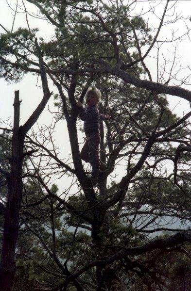 Klatrer i trærne, 1979.