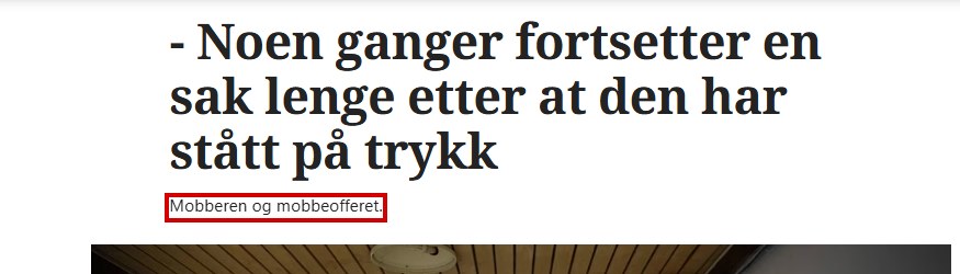«Noen ganger fortsetter en sak lenge etter at den har stått på trykk», Fædrelandsvennen 28. desember 2013.
